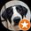 Photo de profil de Snoopy Woof