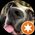 Photo de profil de Celd3c