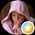 Photo de profil de Maëlys Paumardandre