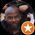Photo de profil de Gregory Ferge