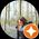 Photo de profil de Claire Pagnucco