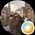 Photo de profil de Diane R.