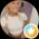 Photo de profil de Coline Bflt