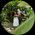 Photo de profil de Tifany Rayapin