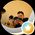 Photo de profil de R P