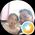 Photo de profil de Geoffrey Chervy